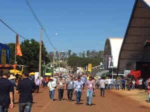 Esperar o “milagre dos juros baixos” pode não ser a melhor opção aos produtores