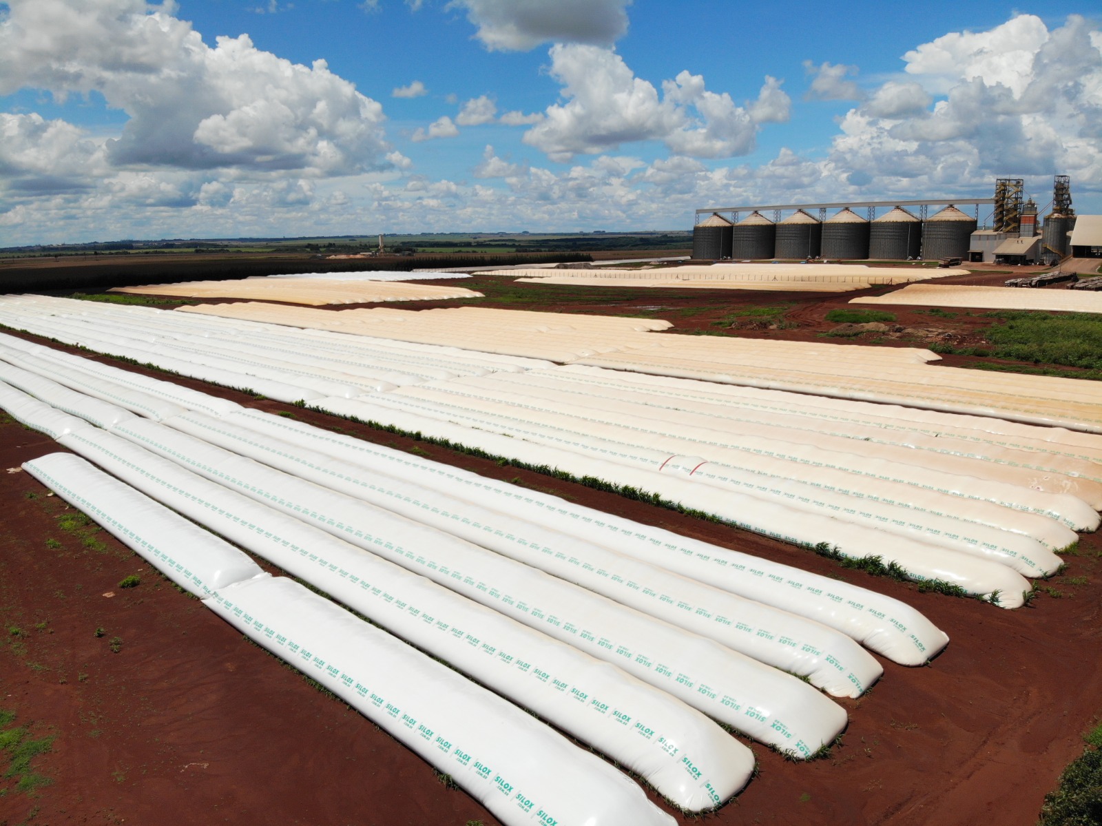 Planejar a armazenagem da produção deve começar antes do plantio