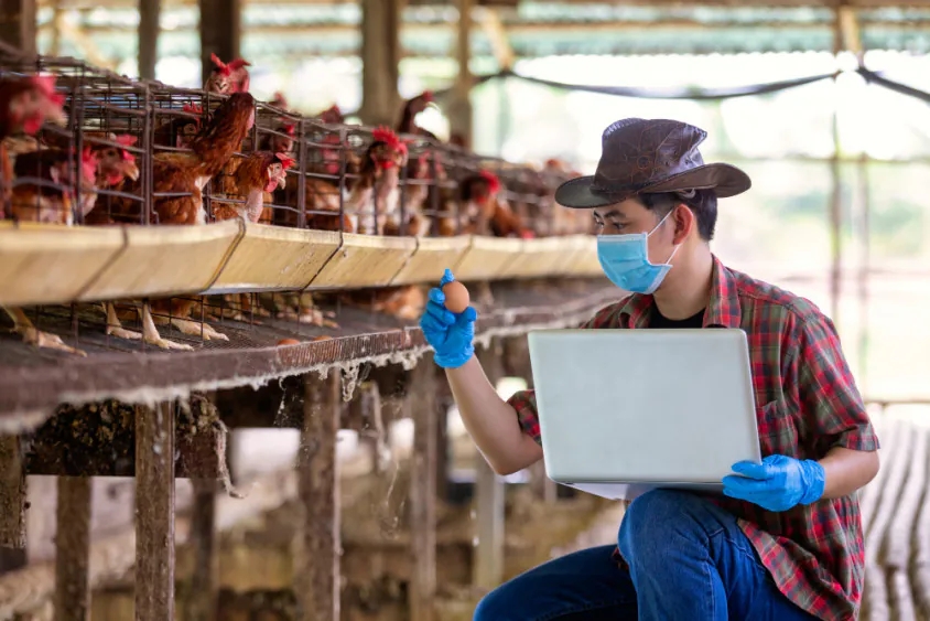 Goiás avança no mundo tecnológico no ritmo do agro