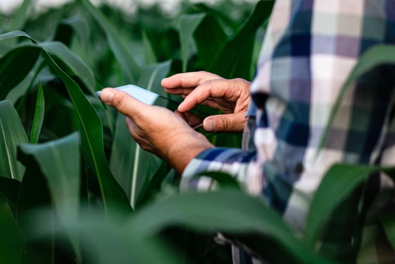 Agrofy e Clube Agro fortalecem parceria em evento da Andav