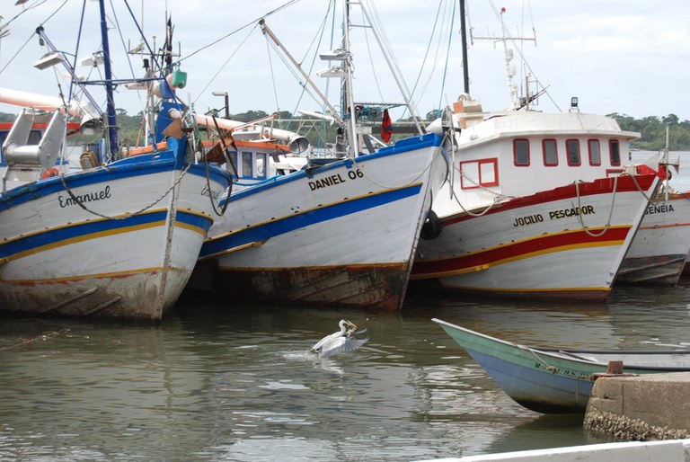 Terminais de pesca de Santos e Cananéia serão leiloados em junho