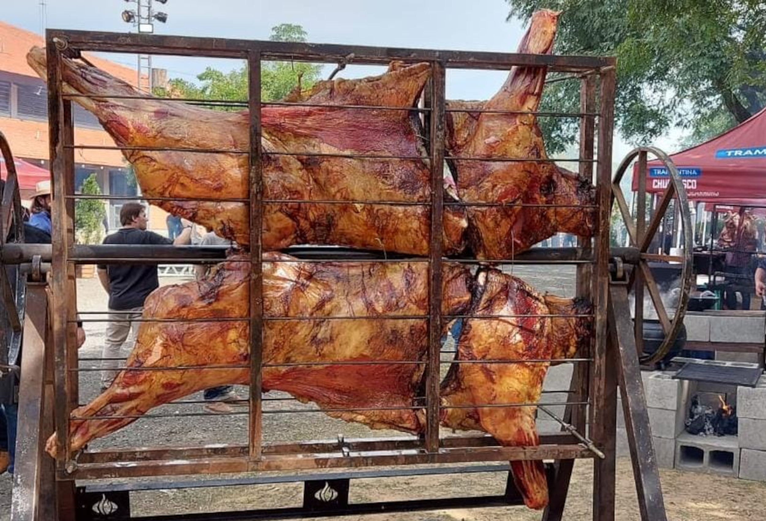 Criadores buscam ampliar destaque da carne de búfalo em evento na capital