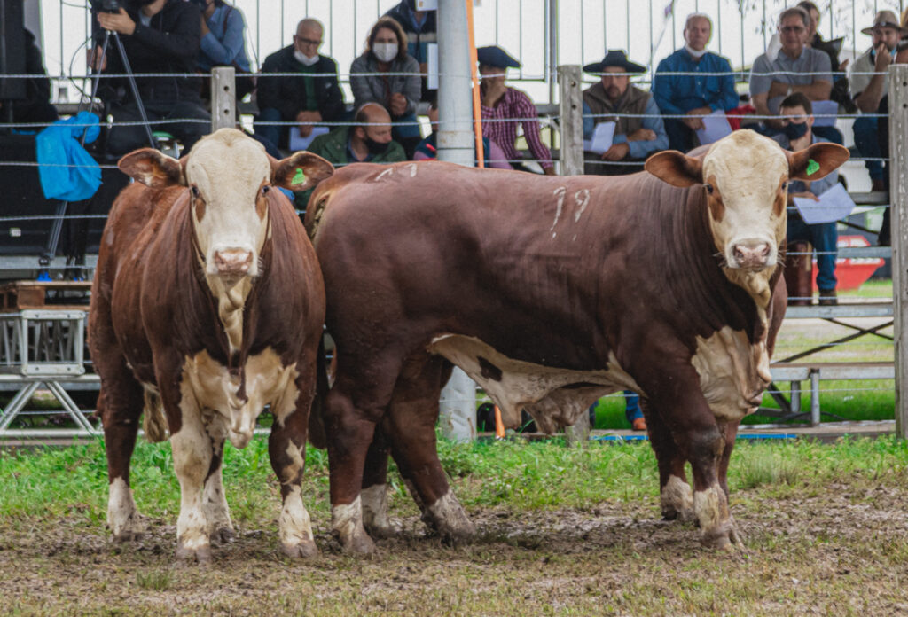 Organização intensifica construção da programação da Fenagen