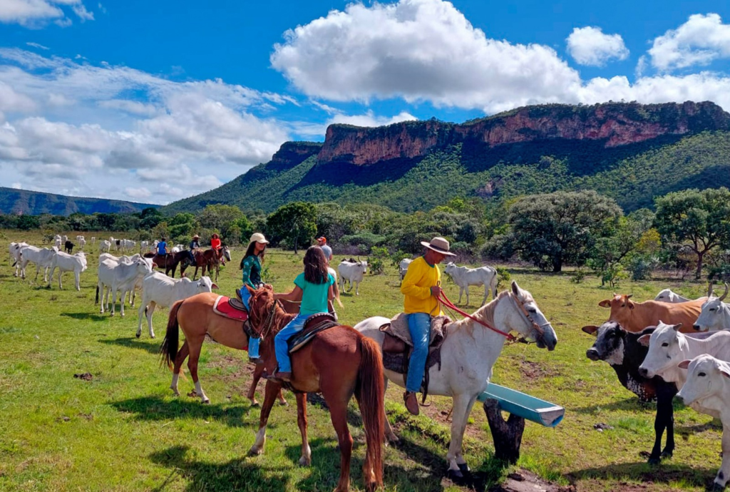 Emater Goiás, em parceria com Goiás Turismo, inicia programa de turismo rural em Goiás