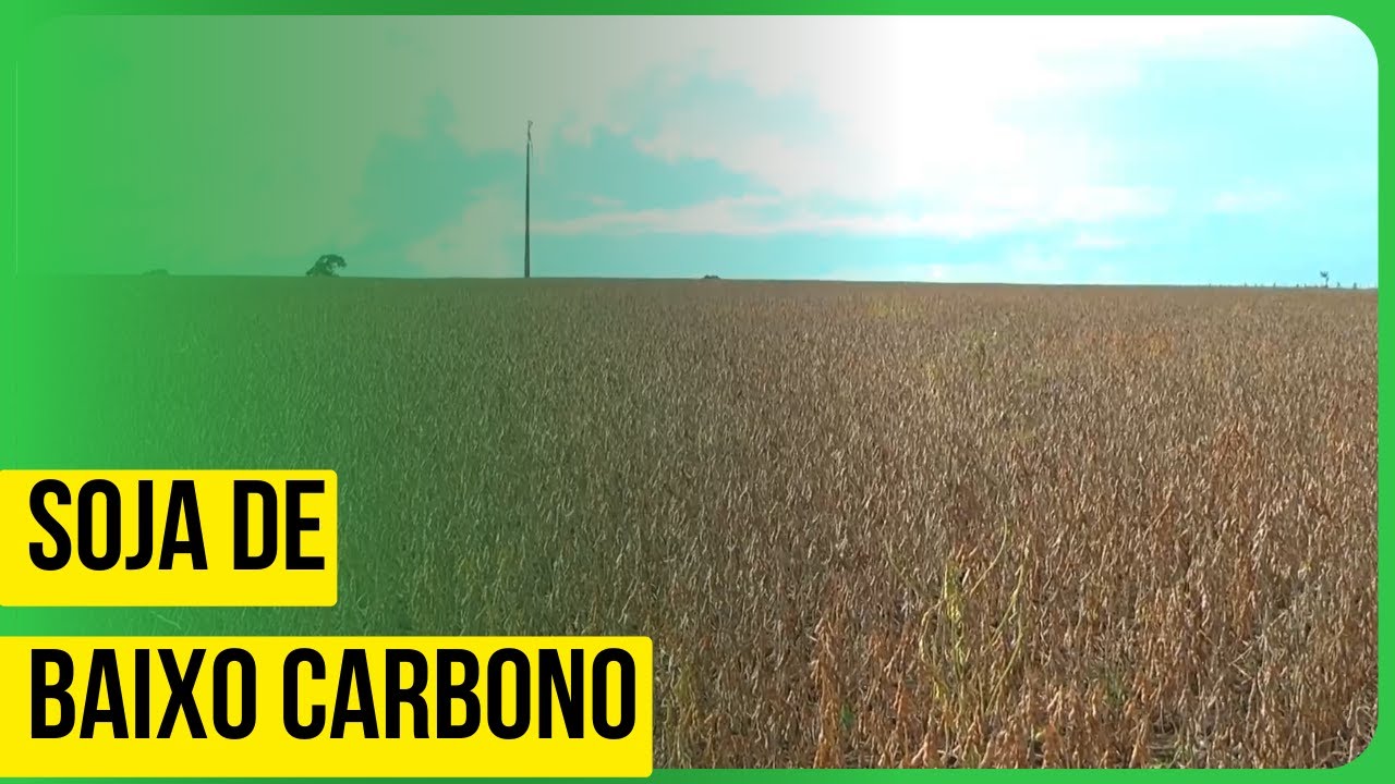 Embrapa publica diretrizes para soja de baixo carbono