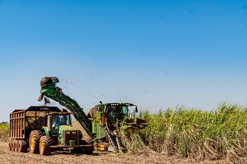 Atvos registra recordes históricos de moagem e produção de etanol em Mato Grosso do Sul