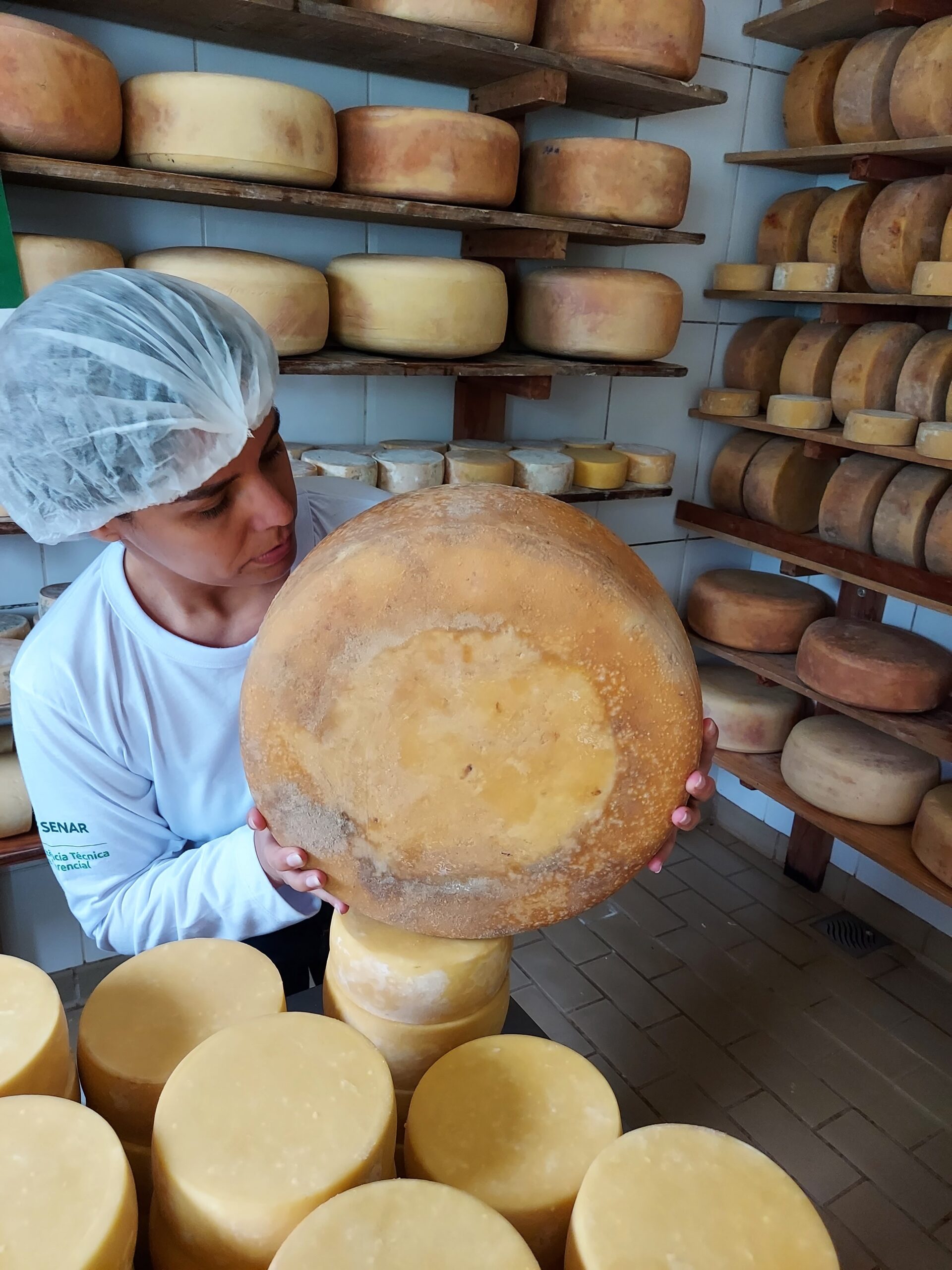 Festival do Queijo Artesanal de Minas bate recorde e atinge a marca de cinco toneladas de queijos vendidos