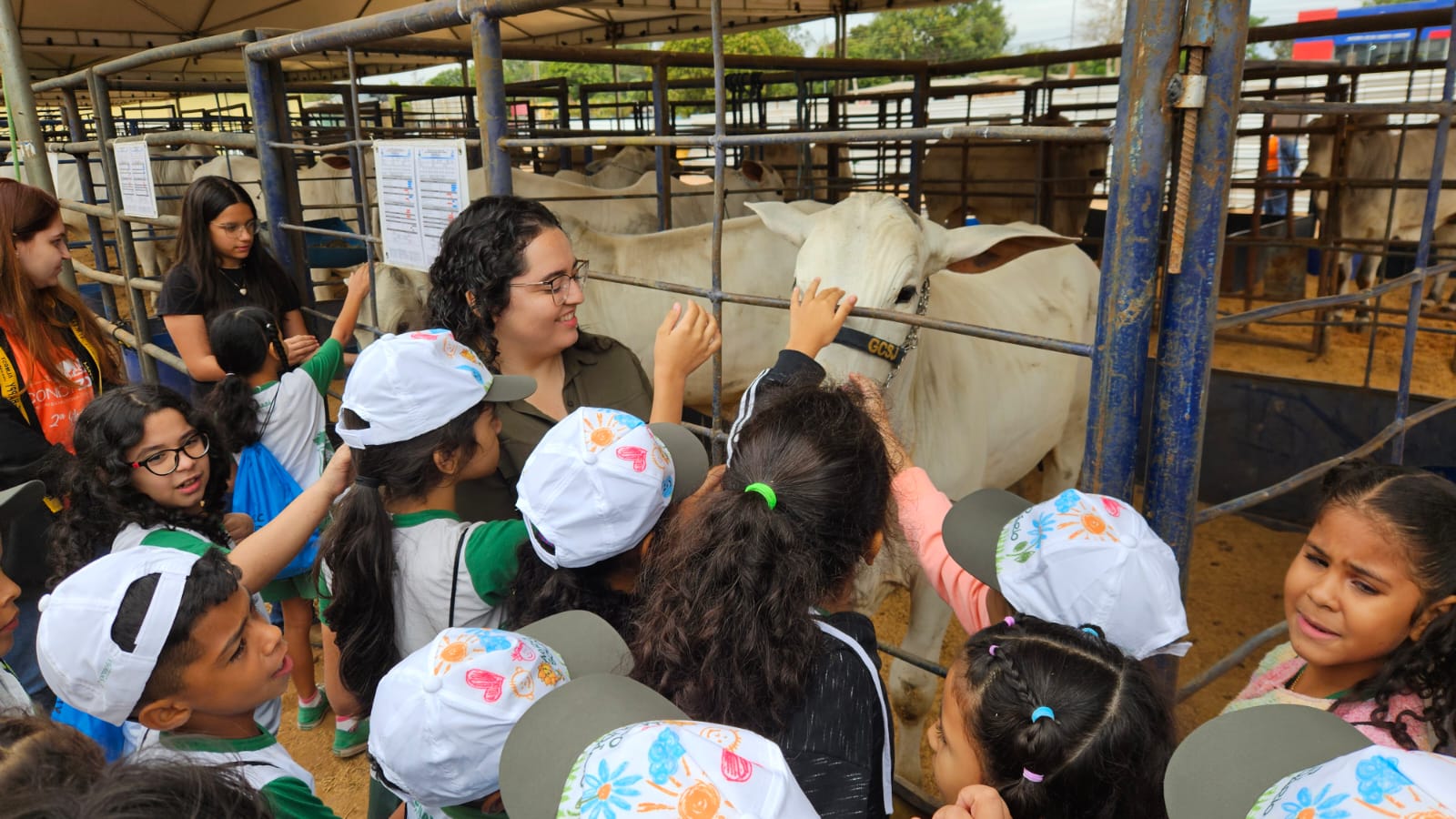 Estudantes da rede municipal de Educação de Cuiabá conhecem de perto sobre pecuária regional