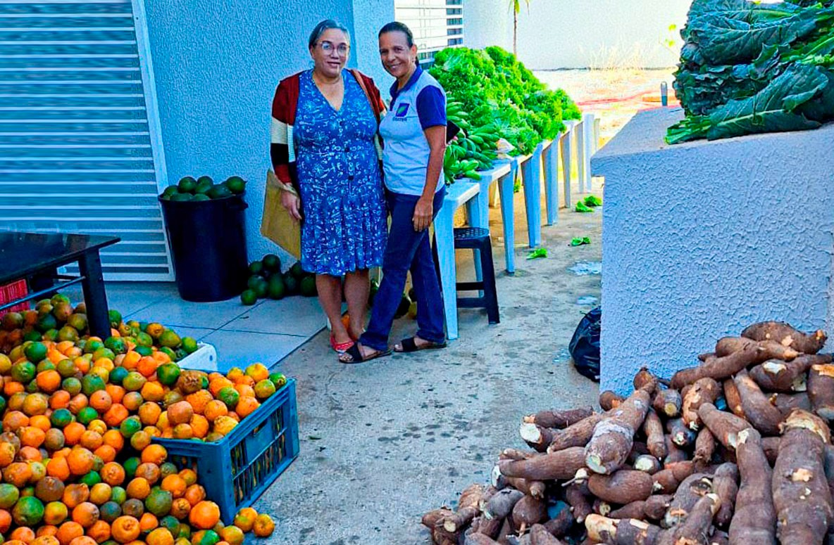 Agricultores familiares iniciam entregas de alimentos do PAA Quilombola em Cidade Ocidental