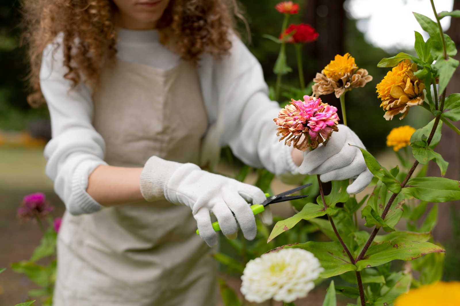 Produtos de combate às pragas feitos com flores e frutas? Marca nacional cria óleo essencial que substitui produtos nocivos