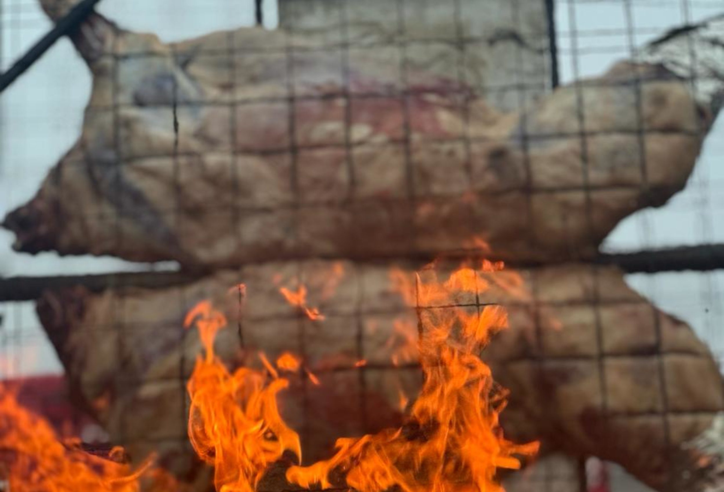 Assado de carcaça de búfalo invade tradicional feira da Argentina