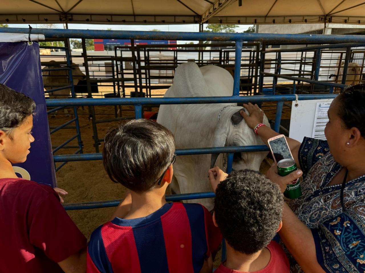 Mais de 200 crianças conhecem um pouco da raça Nelore na 56ª Expoagro