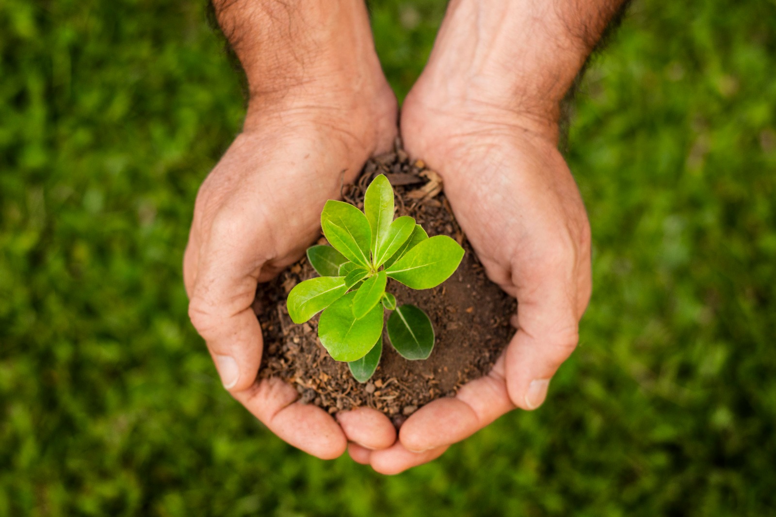 Tecnologias impulsionam práticas ESG no agronegócio brasileiro