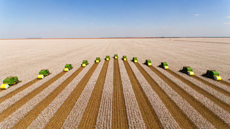 Parceria entre Cargill, FibreTrace® e Target permite rastrear algodão fornecido pela Bom Futuro em lojas dos EUA