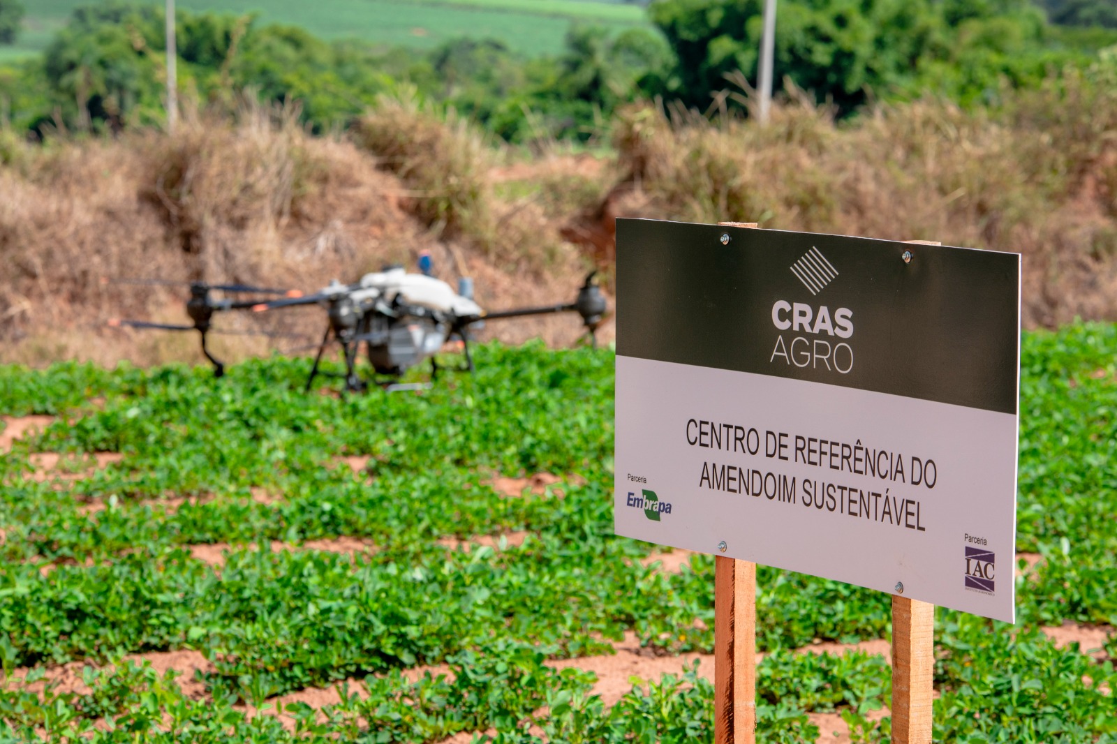 Vantagens das sementes CRAS Agro são apresentadas aos produtores em evento do Plano Safra 2024/2025