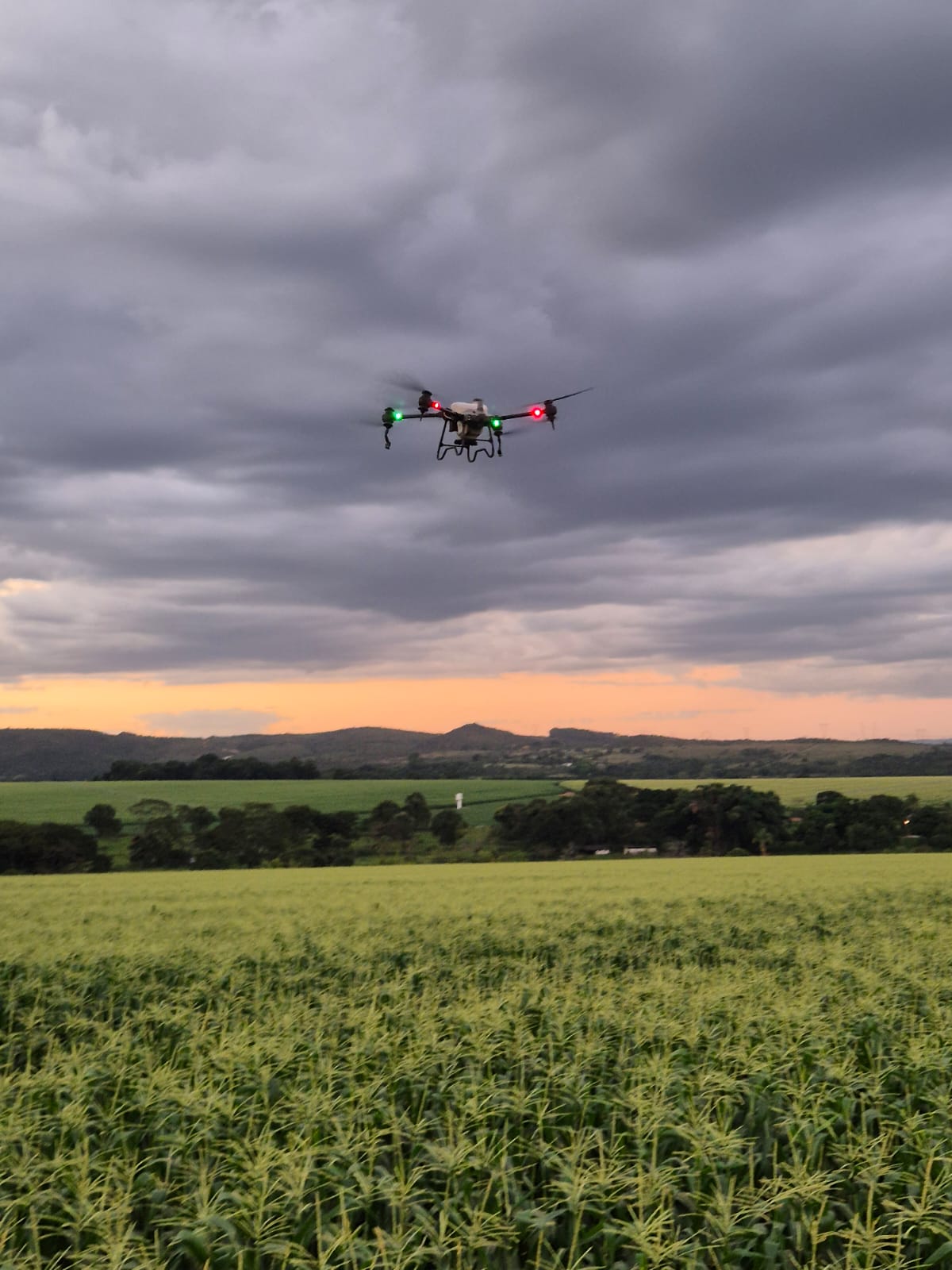 Fugini conclui projeto-piloto de drones para o cultivo de milho doce em Goiás