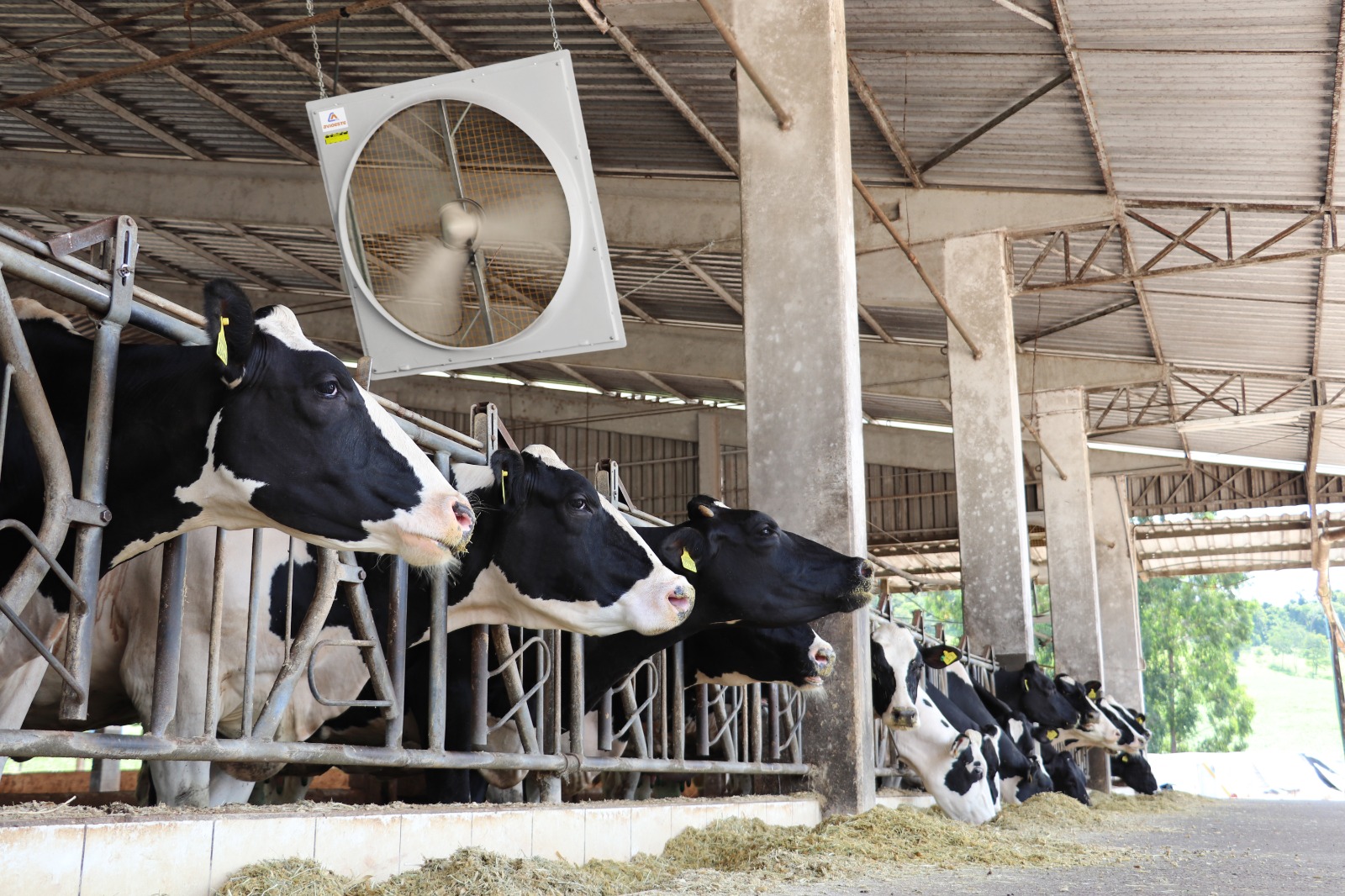 Agroleite marca estreia da Corti Avioeste na pecuária leiteira