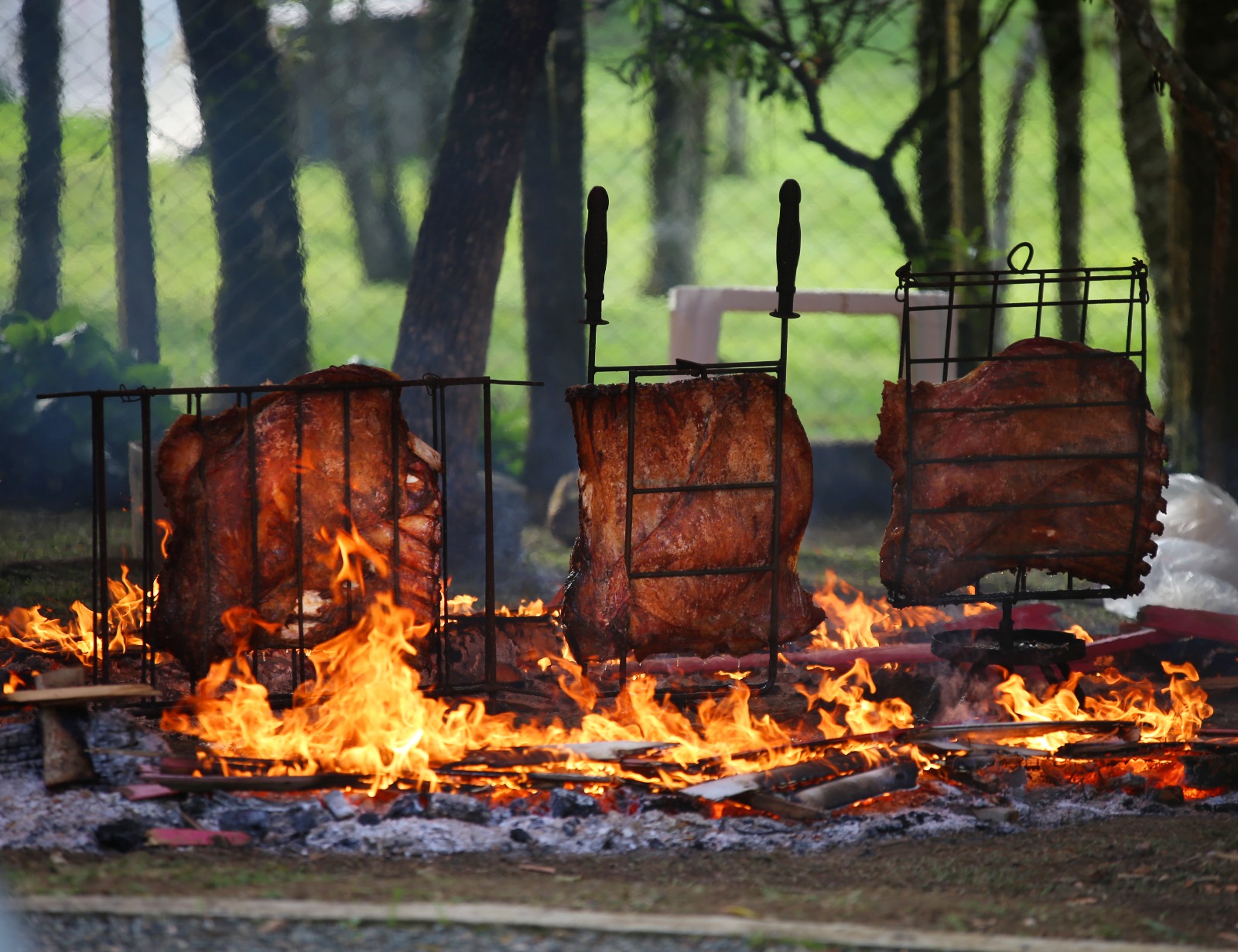 Pela primeira vez em Cuiabá, Rústico chega para animar a família e valorizar a carne mato-grossense