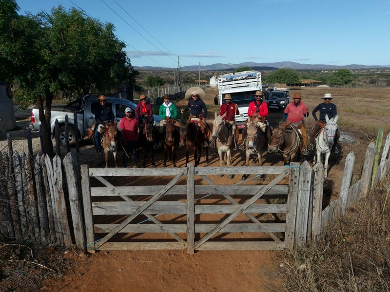 Grupo baiano percorre aventura de 1,6 mil quilômetros em mulas para participar da Festa do Peão de Barretos