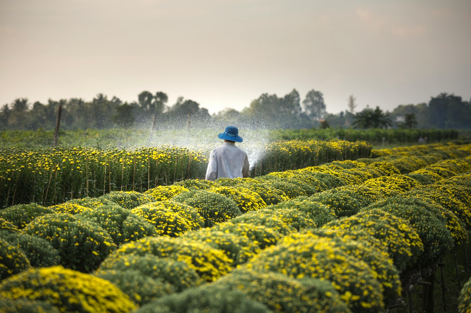 Novo programa pretende impactar o meio agro de forma sustentável