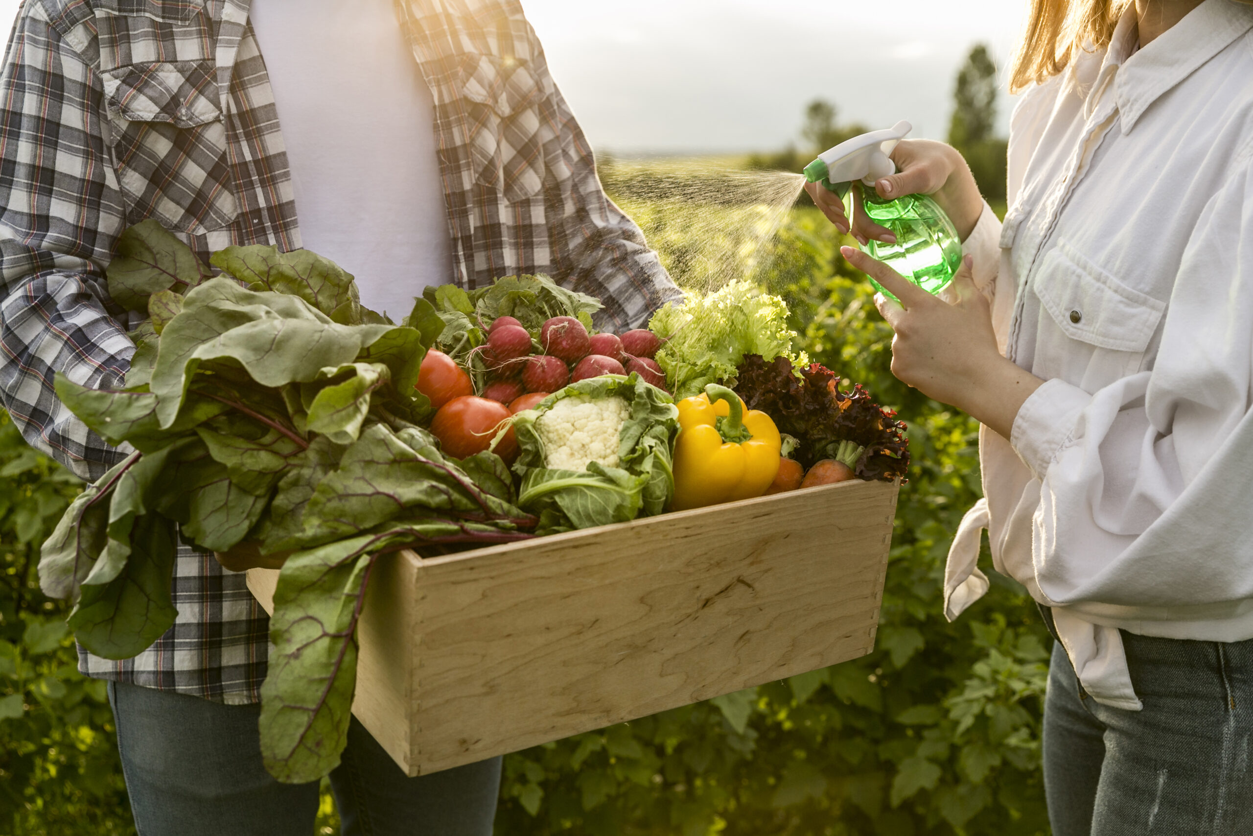 Especialista aponta 3 formas de promover práticas agrícolas sustentáveis