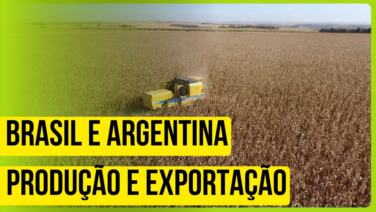 Brasil e Argentina: Exportações e produção