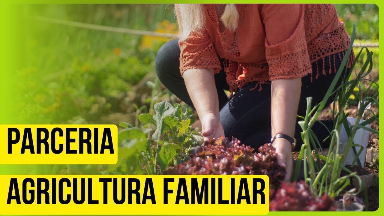 GO e Chile: Fortalecimento da agricultura familiar