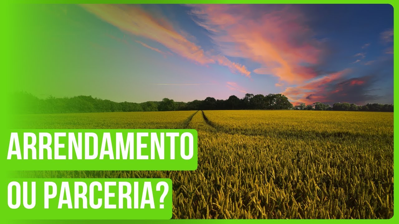 Contrato de “arrendamento” ou “parceria”?