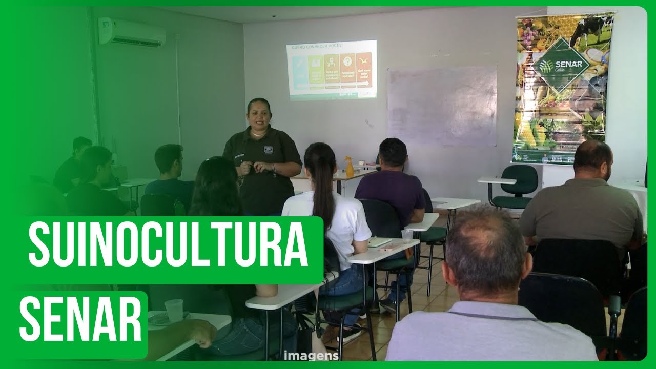 Curso de suinocultura tecnificada