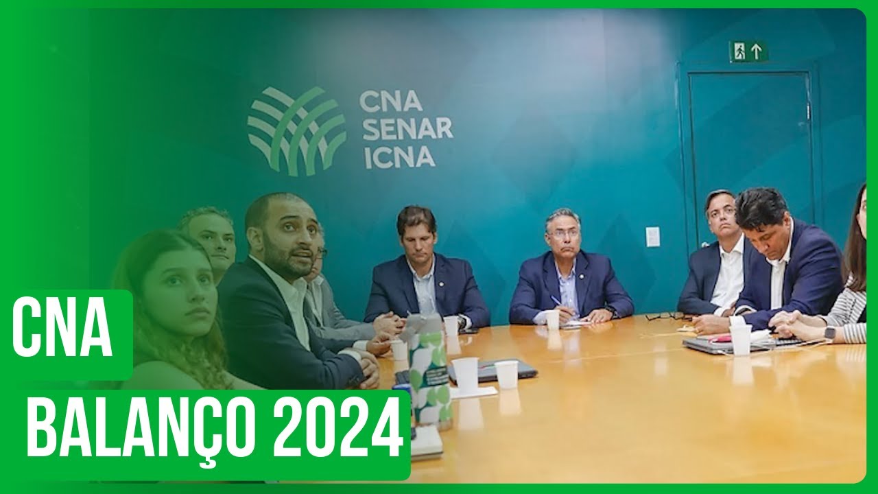 CNA: Balanço de 2024